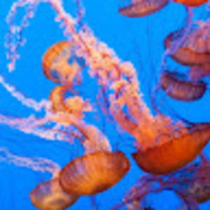 Meet your Posher, Michaela